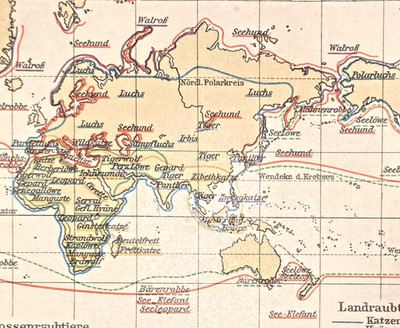 Alte Chromolithographie, Verbreitung der Säugetiere,ca.1920, Zoogeographie,Karte