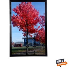 Studio Gallery 12x18 Poster Frame Black,Display Pictures 12x18 Picture Frame,...