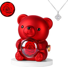 Cute Teddy Bear with Preserved Rose, Romantic Preserved Roses Gift for Her, Uniq