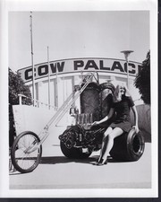 bellissimo modellino fronte Palazzo delle Mucche con bici personalizzata anni 70 foto promozione 48743