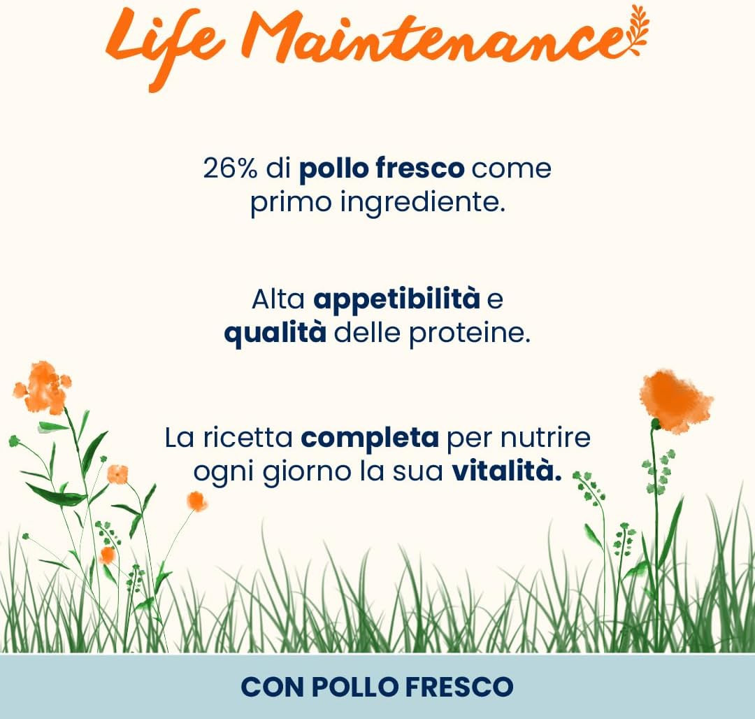 Analisi Nutrizionale Life Maintenance Gatto Adulto Pollo Fresco - 2