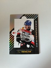 DEL 2024/2025 24/25 Centerpieces Augsburg Panthers T.J. Trevelyan