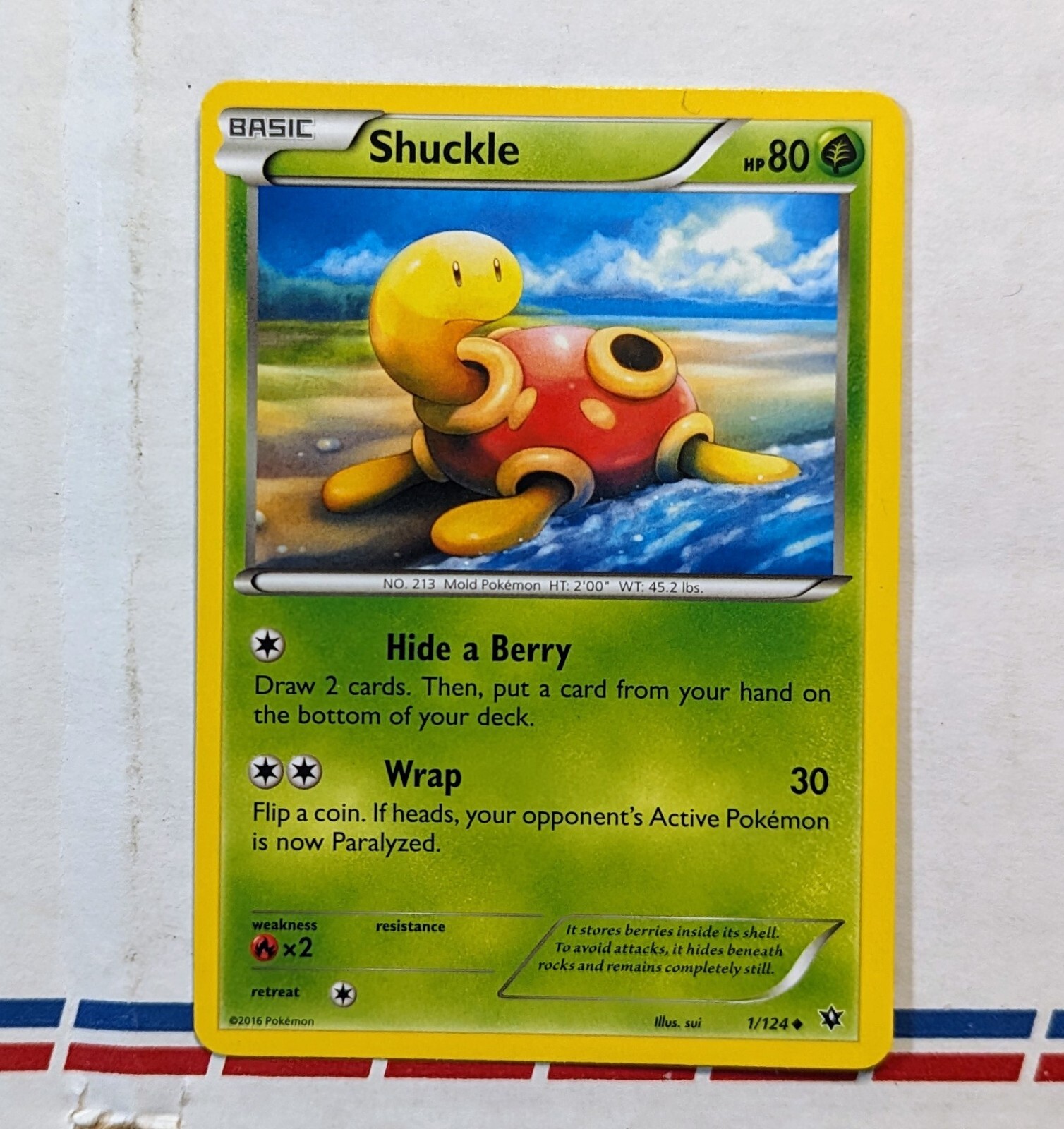 Pokemon SHUCKLE XY Fates Collide 1/124