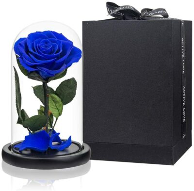 Preserved Real Rose in Glass Dome
