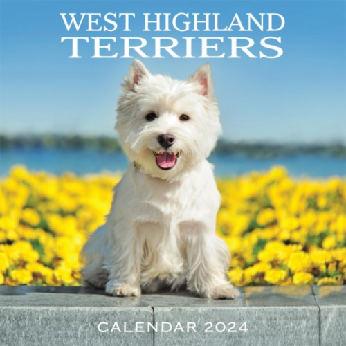 2024 Wall Calendar West Highland Terriers Westies 9781842048399 eBay