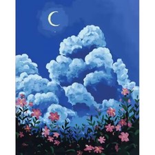 Paint By Numbers Adults kids Clouds Flowers Moon DIY Painting Kit 40x50CM Canvas