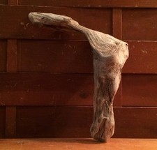 Beautiful 8" DRIFTWOOD Art Piece Terrarium Taxidermy Aquarium Beach Wood DECOR