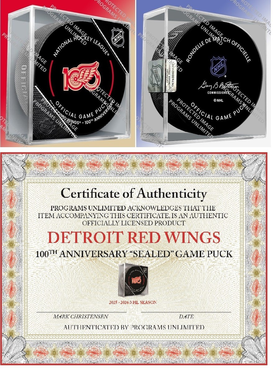 2025 2026 DETROIT RED WINGS 100TH ANNIVERSARY GAME PUCK CUBED PIN