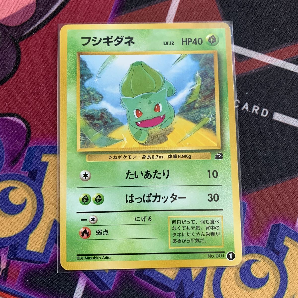 Bulbasaur Old Back Old Back Intro oldBulbasaur Pokemon Trading Card Game