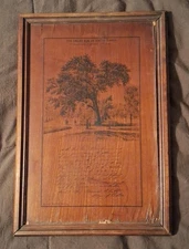 Antique 'The Great Elm On Boston Common' Framed Tree Veneer - c. 1876