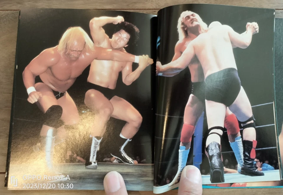 职业摔跤“每周战斗绿巨人霍根照片书”罕见 WWWF nWo AWA — 第 4/4 张图片