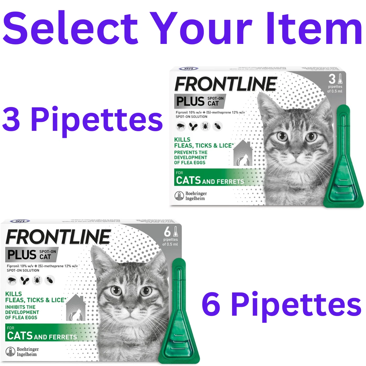 Frontline spot on flea & clearance tick treatment for cats 6 pipettes