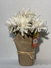 12” Potted Dark White Spider Mum by Ashland Table Centerpiece New