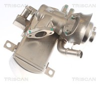 Triscan AGR Ventil 8813 29347 FüR VW Passat B8 3G2 CB2 Variant 3G5 CB5 Arteon 7