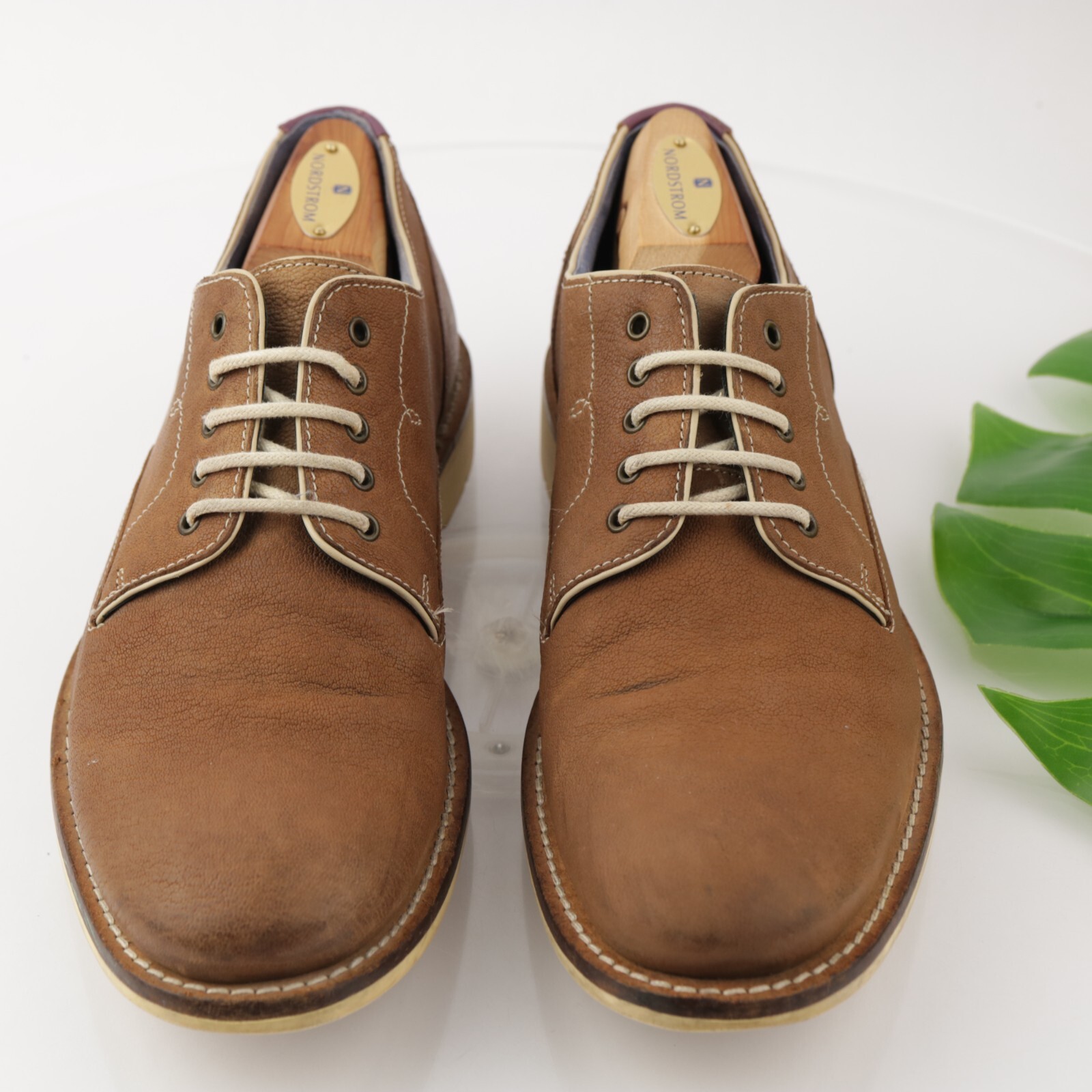 SAOLA Scarpe da uomo Ted Baker Tich Oxford Derby taglia 8 marrone marrone chiaro in pelle nabuk punta piatta