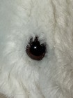 Picture 16 of 19