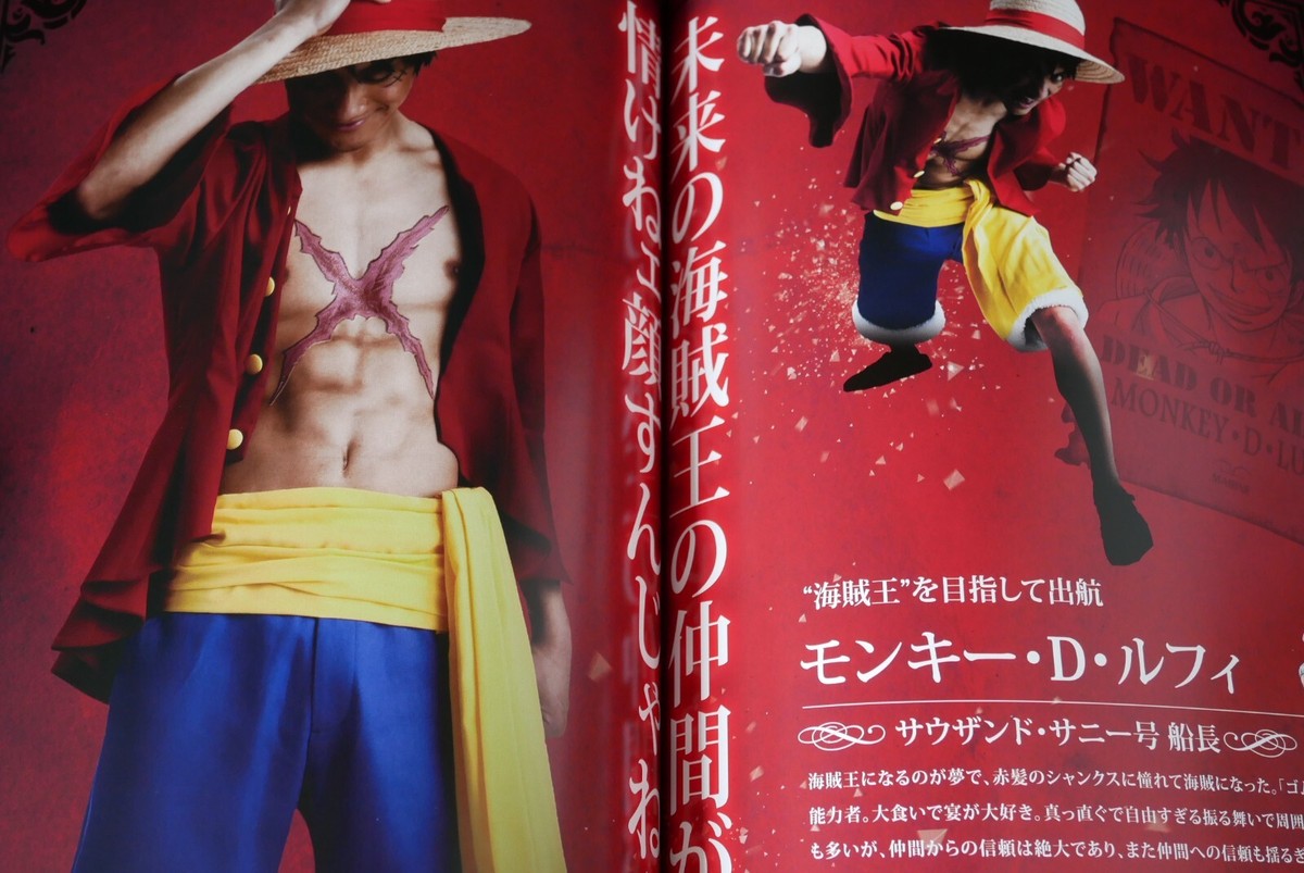 趣味・スポーツ・実用 ONE PIECE 10TH HISTORY BOOK 趣味・スポーツ・実用 ONE PIECE 10TH HISTORY BOOK ONE PIECE