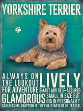 Yorkshire Terrier large steel sign 400mm x 300mm PRICE CUT