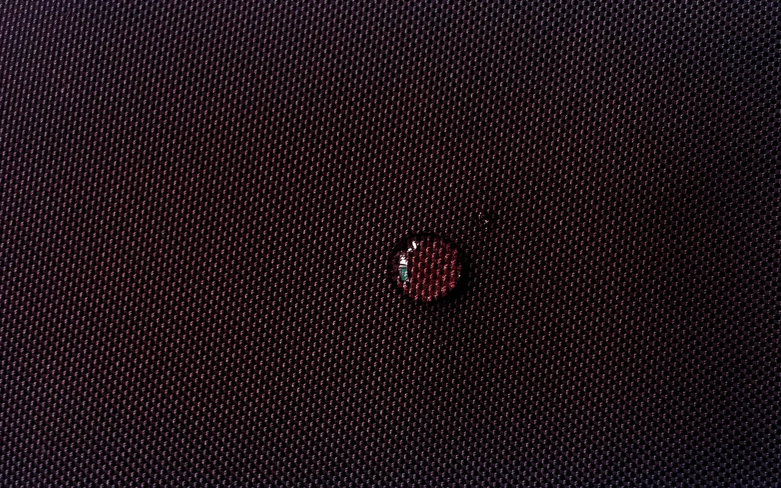 Picture 300 of 335