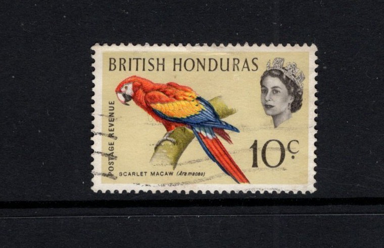 British Honduras 1962 10c Scarlet Macaw Bird FU-3 SG 207 SC 172 | eBay