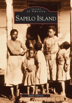 Buddy Sullivan Sapelo Island (Paperback)