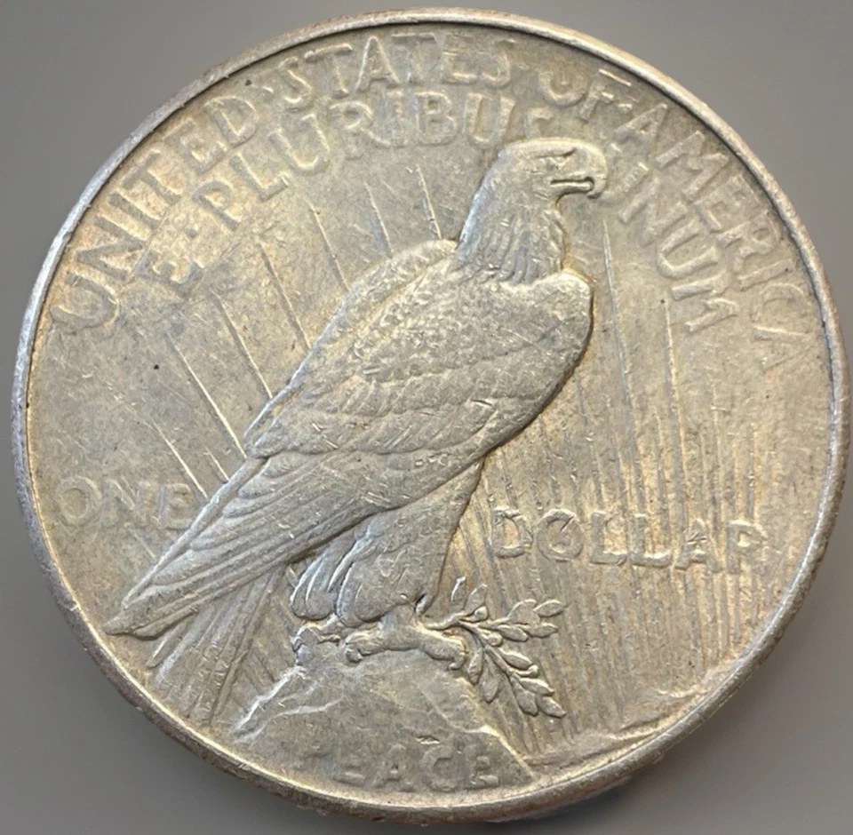 NICE!! 1925 Peace Dollar Struck Through Grease Mint Error! Obv. See Pics! PD-002 - Image 3 of 3