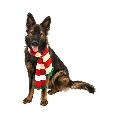 Midlee Christmas Striped Dog Scarf- Red/White & Green Pom Pom (Small) - 第 3/5 張圖片