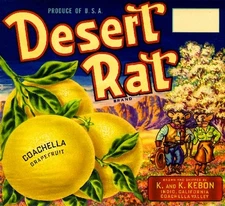 Indio San Bernardino Desert Rat Grapefruit Citrus Fruit Crate Label Art Print