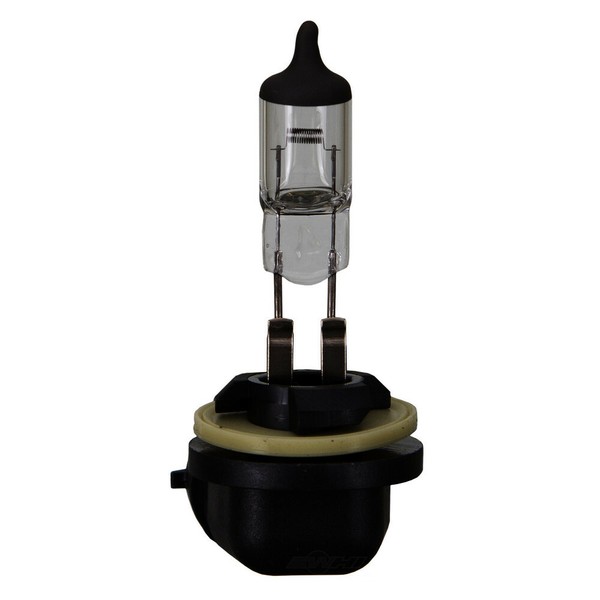 Fog Light Bulb CARQUEST BP898 for sale online eBay