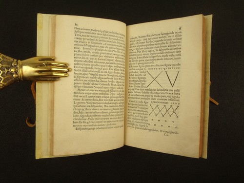 1540 Seminarium et Plantarium Fructiferarum by Charles Estienne. Agriculture - Picture 10 of 16