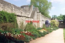 PHOTO  1994 NEW COLLEGE GARDENS OXFORD A VERY EYE-PLEASING DISPLAY OF SPRING BLO