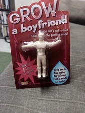 Forum Novelties Novelty Grow A Boyfriend Husband Joke Gag Gift