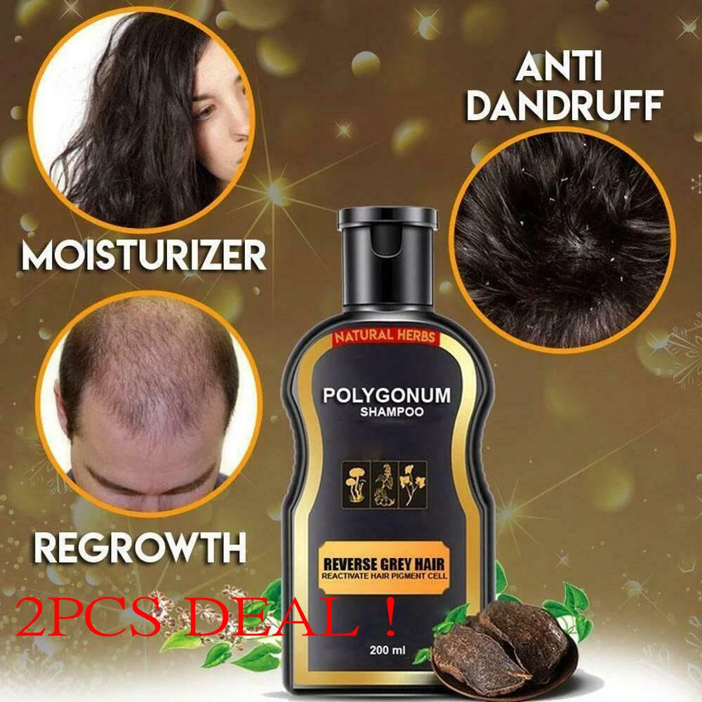 Polygonum shampoo cheap