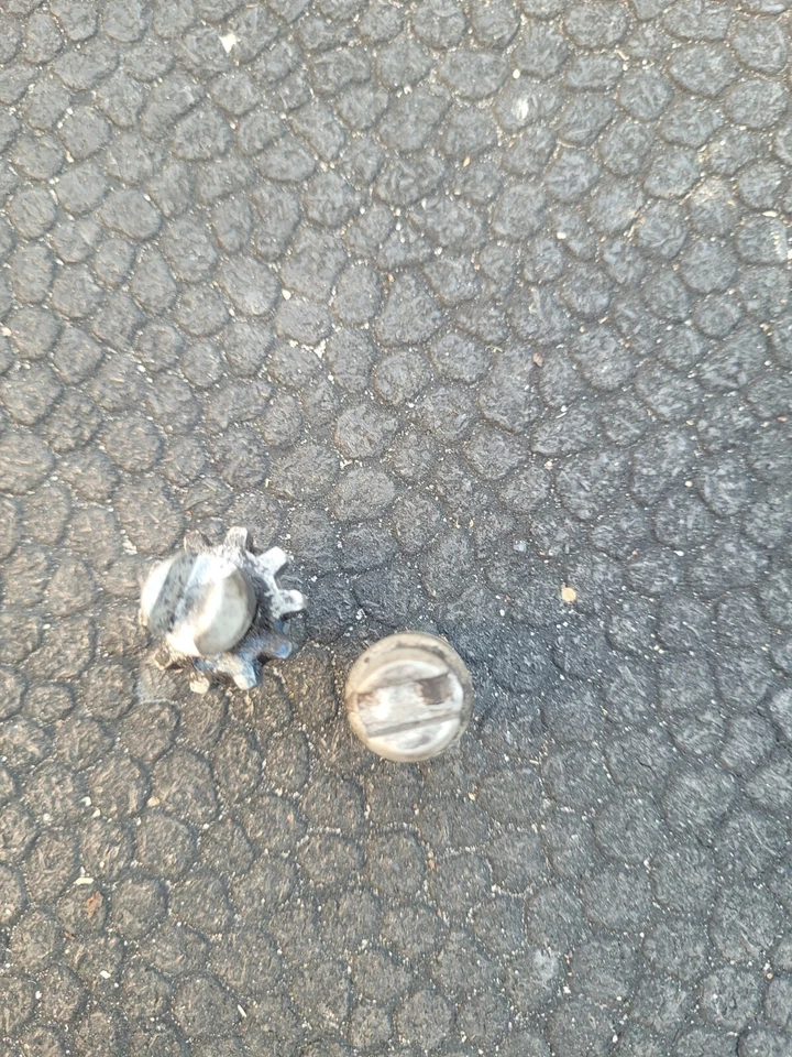 BMW 328i 2008 conjunto de tornillo de ajuste de freno de estacionamiento Foto 4 de 4