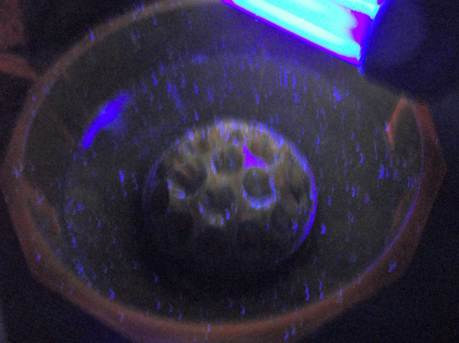 Picture 8 of 10
