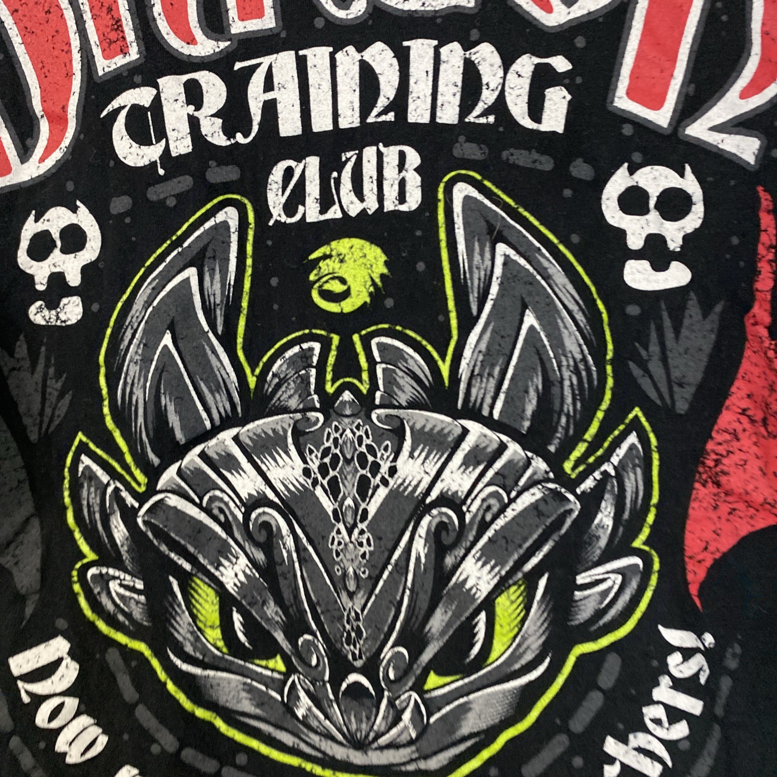Universal Studios Black Dragon Training Club ‘Now… - image 4
