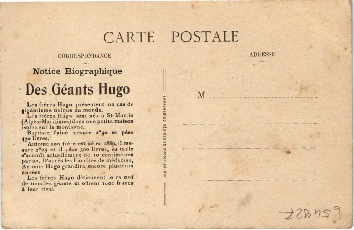 Vds Album Cartes Postale Anciennes - Collection
