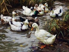 THE DUCK POND A. Koester birds Tile Mural Kitchen Backsplash Art Marble Ceramic