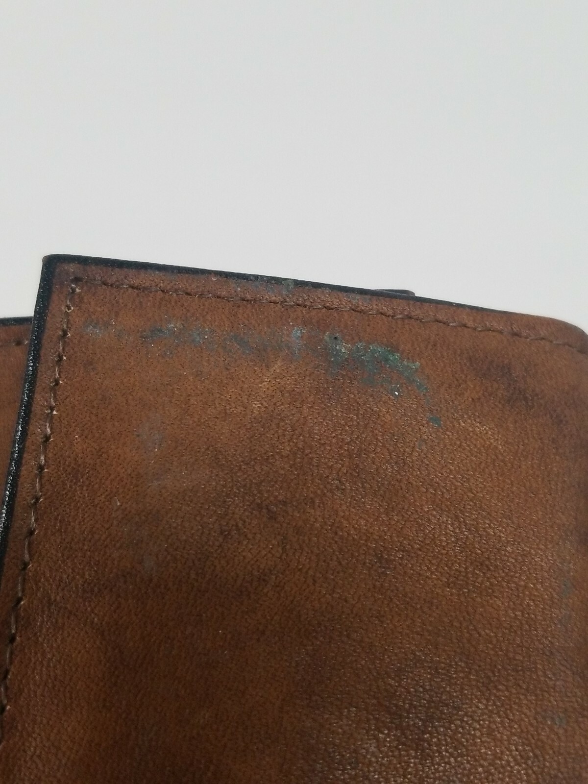 amity cowhide wallet