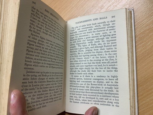 Libro de tapa dura Frank Finn 1922 "Comportamiento físico y fisiológico de aves" (P3) - Imagen 17 de 18