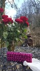 Bild 2 von 5