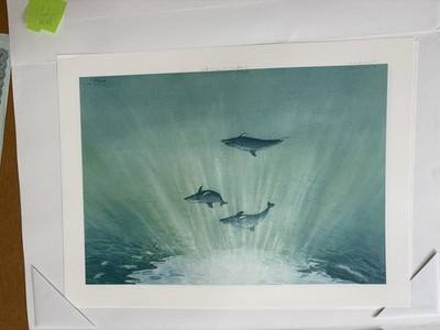 Lim.  Ed.  Lithograph- Signed & #,  Dolphins In The Light , Rodney J. Wilkinson.
