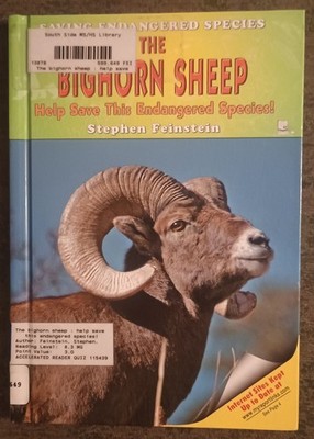 Saving Endangered Species : The Bighorn Sheep by Stephen Feinstein - HC book