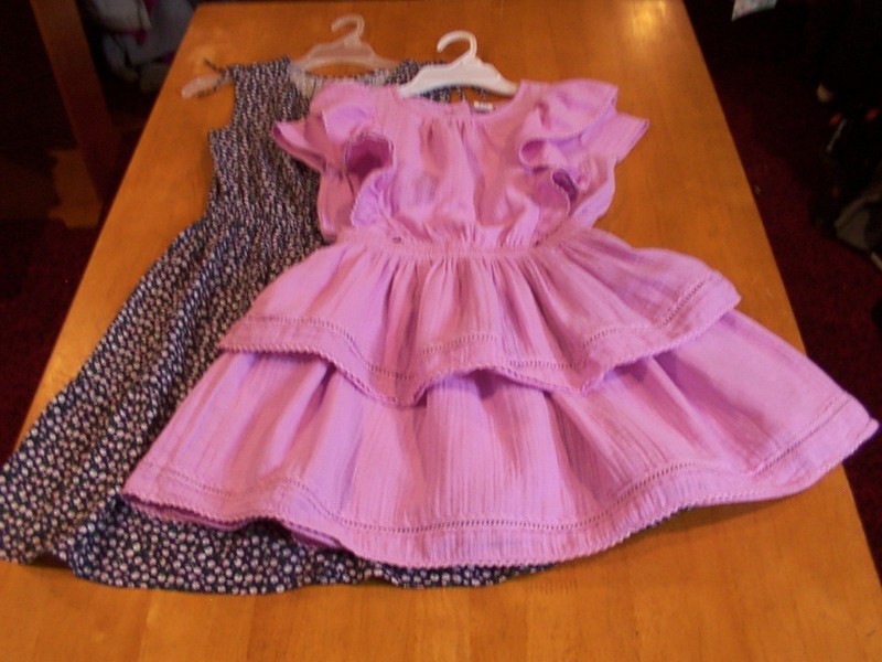 Gap Kids Girls Sz. L(10) Dress Lot: Pink Gauze & Navy Floral Rayon