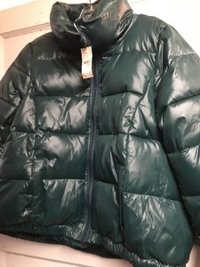 ann taylor green jacket