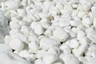 Decorative Marble EXTRA WHITE Pebbles / Stones / Chippings Home & Garden