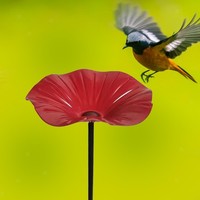 Vogelfutterhaus FüR DraußEn, Robustes Kleines Vogelbad FüR Garten Und