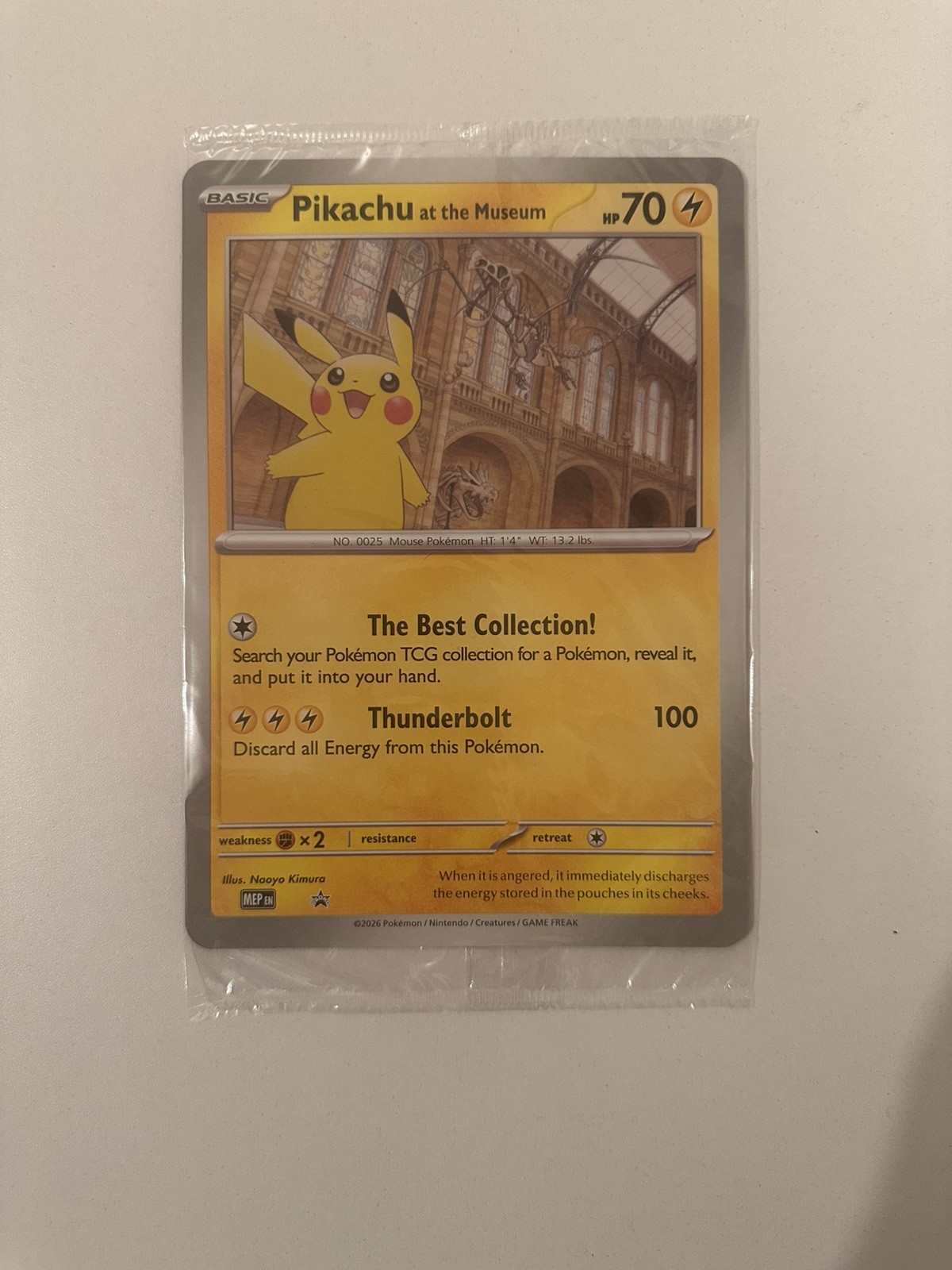 PROMO Pokémon TCG Pikachu At The Museum Oversize Sealed Brand New! And sealed