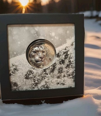 UHR Silver 1 Oz Snow Leopard 2024 Mongolian Ultra High Relief 