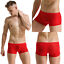 Miniaturansicht 9  - Men&#039;s Boxer Briefs See Through ice silk Underwear Trunks Shorts U Convex Pouch
